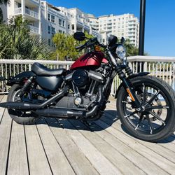 2021 Harley Davidson 883 Iron Only 5,555 ** Yes Financing **