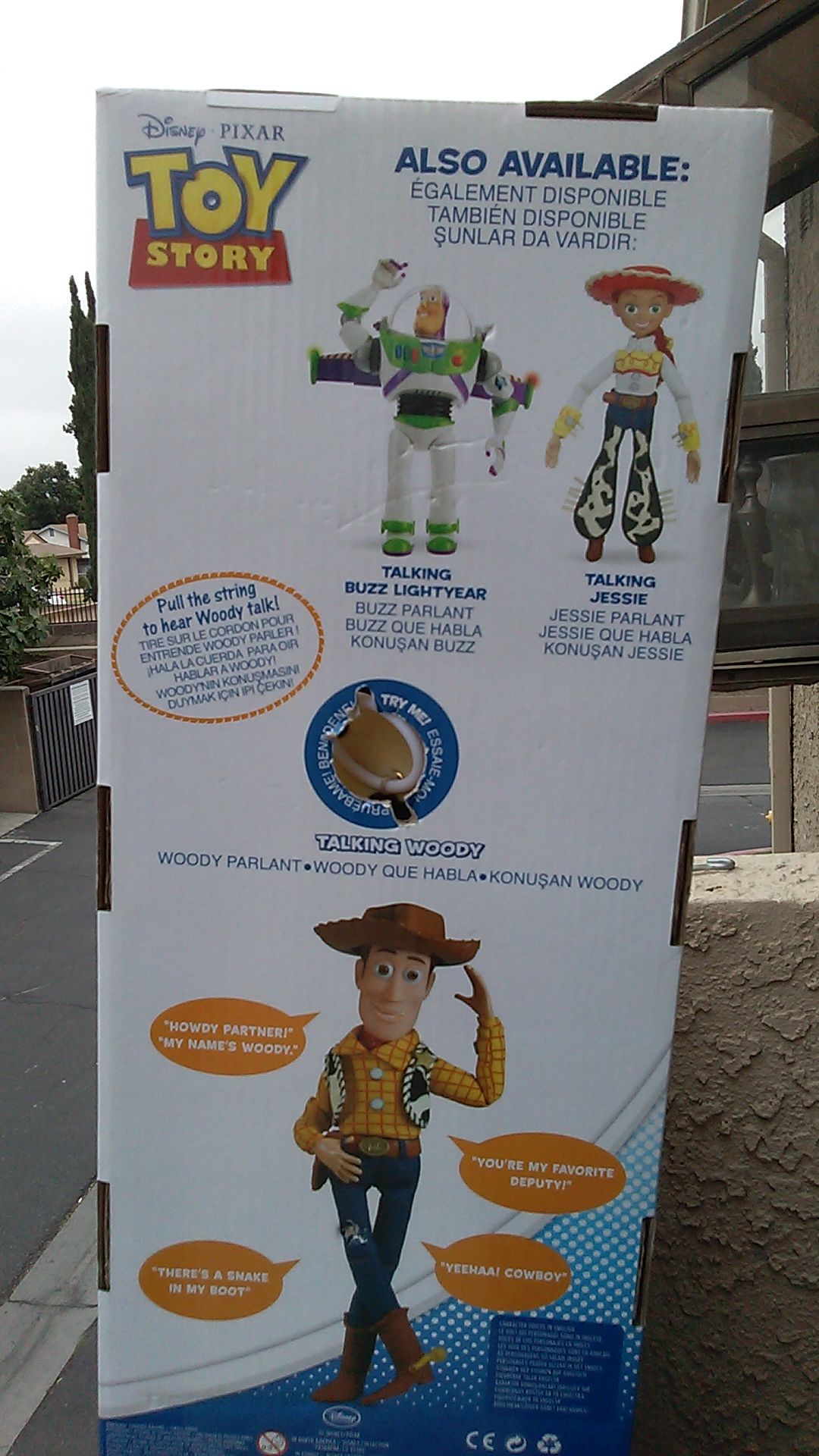 Talking Woody