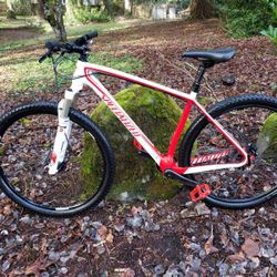 Specialized Carbon Bike 29 MTB 