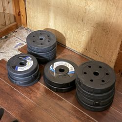 59lbs Of Plates
