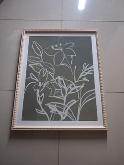 Decor frames