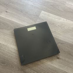 Scale