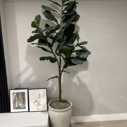 Artificial Fiddle Fig Plant with Pot 