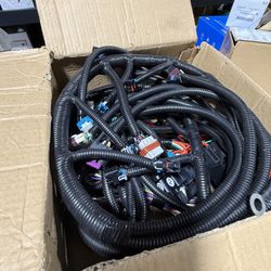 T56 Stand alone Wire Harness Drive by Wire LS LS3 Vortec 03-07 4.8 5.3 6.0 DBW