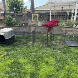 XL Dog House With Crates All For $80