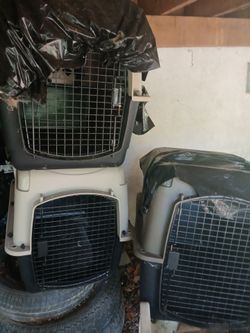 Large dog crates