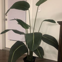Faux Plant