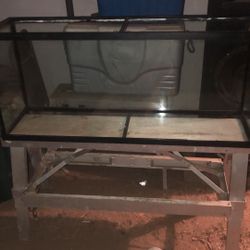 55 Gallon Tank 