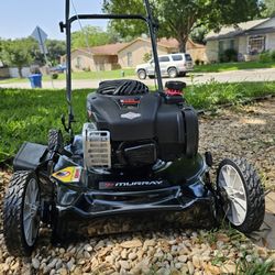 Murray
20 in. 125 cc Briggs & Stratton Walk Behind Gas Push Lawn Mower