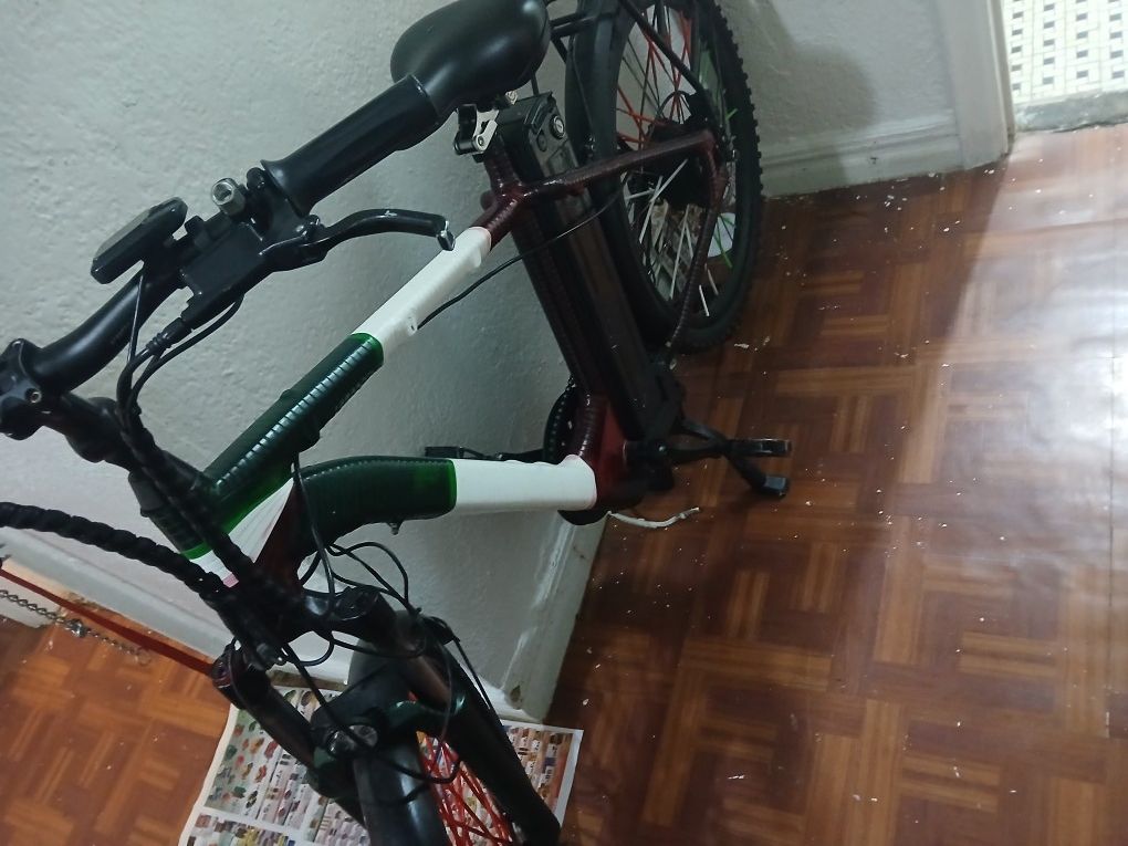 Electric Bike