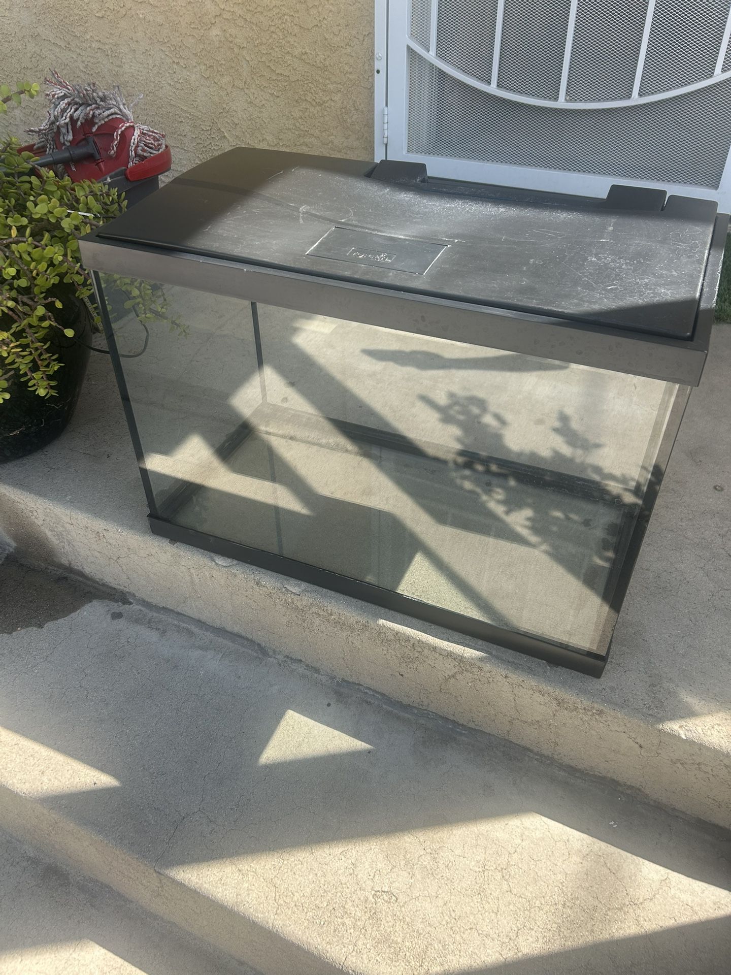 Fish Tank