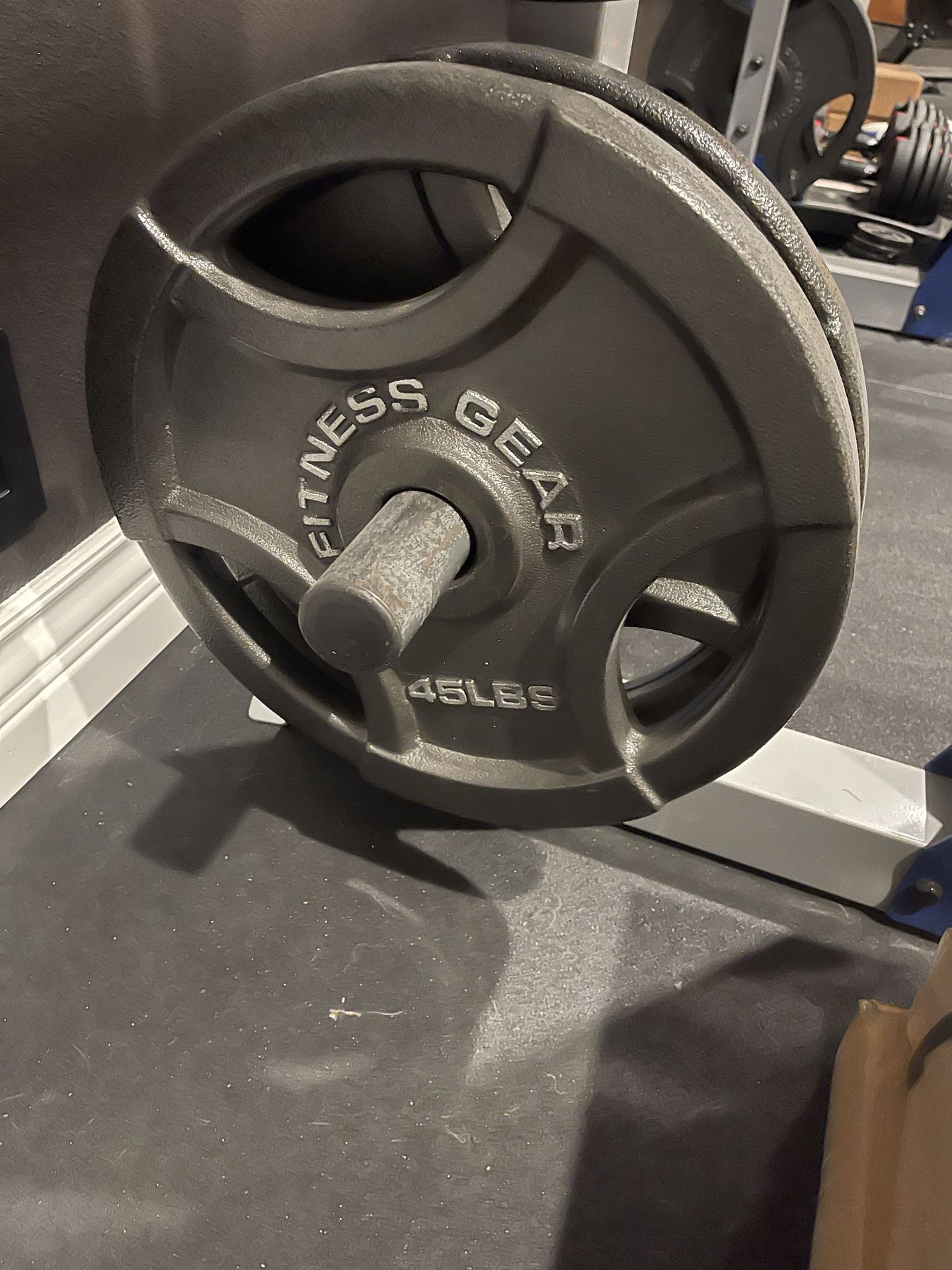 A pair of 45-lb barbell plates