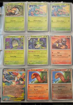 POKEMON- PITCH BLACK