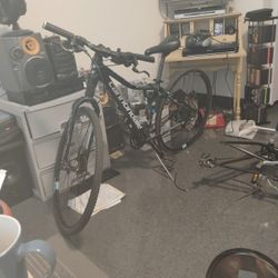 Women's Cannondale Althea Bicycle
