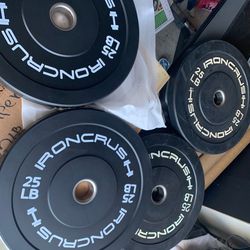 Very nice looking Brand new 45, 35 lb, and 25 lb Olympic weight plates.  Pair of 45s =$110 Pair of 35s=$90 Pair of 25s=$80