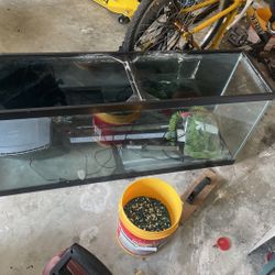 55 Gallon Fish Tank 