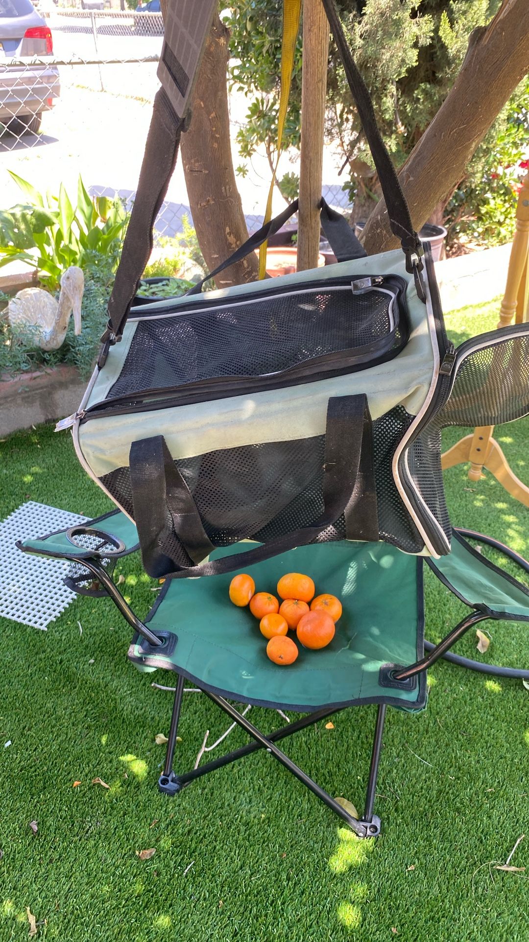 cat carrier