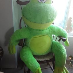  FROG SPECIAL PRICE.  NEW CONDITION.   PU IN MISSION VALLEY OR SABRE SRINGS.  $20