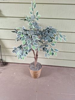 5 ft silk   accent tree