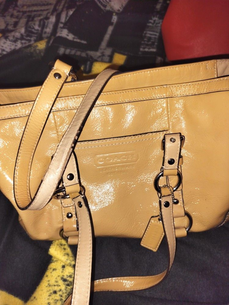 Coach Bag/Purse