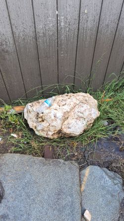 milky quartz