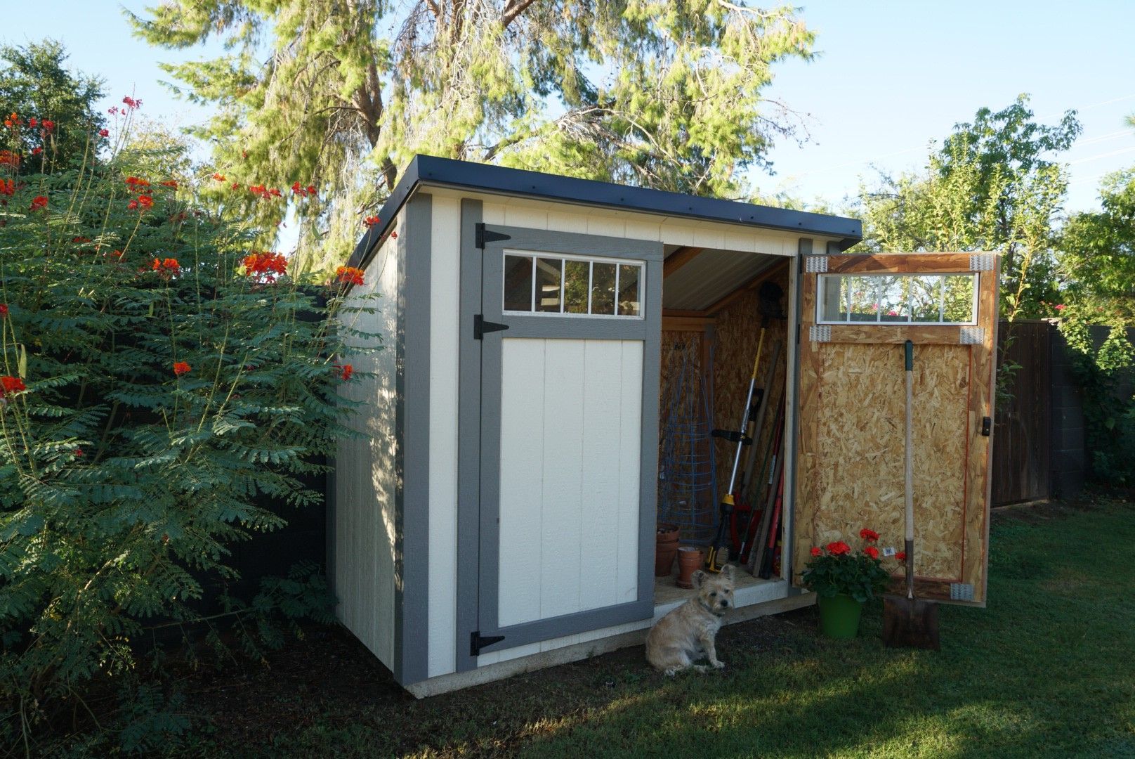 HOA friendly Shed