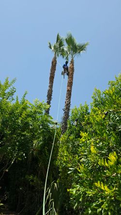 Free Estimate
