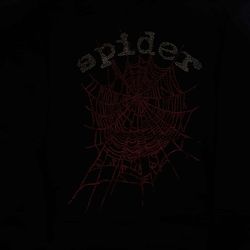 Spider Hoodie