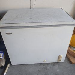 Large Storage Freezer