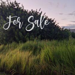 Land For Sale, Vacant Land ,  Lot In 3810 5th St SW, Lehigh Acres, FL 33976