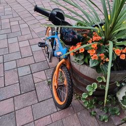 Bicycle Kids Hot Wheels 