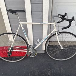 Vintage Giant Bicycle — Tall Frame (60+ cm) 
