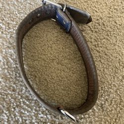 Dog Collar And Strap 