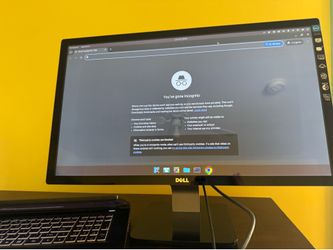 Dell S2440Lb 24” Full HD LED Monitor - HDMI - Tested