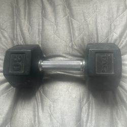 30 Lbs Dumbbell 