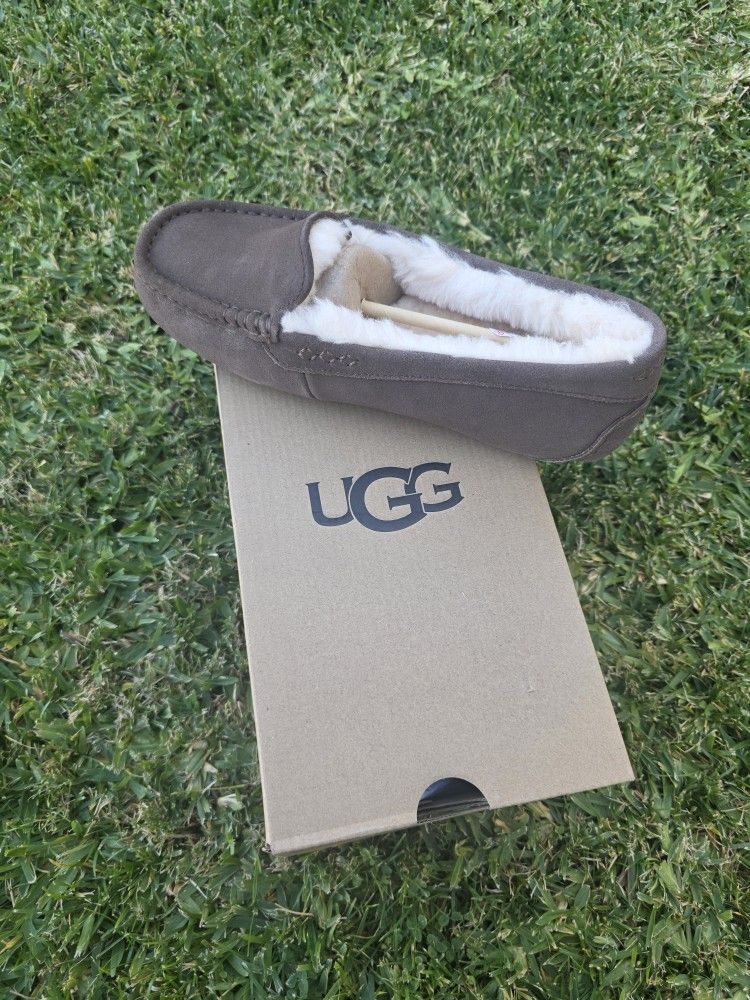Ugg Slipper