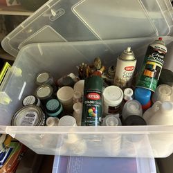 Spray & Regular Paint And Brushes 