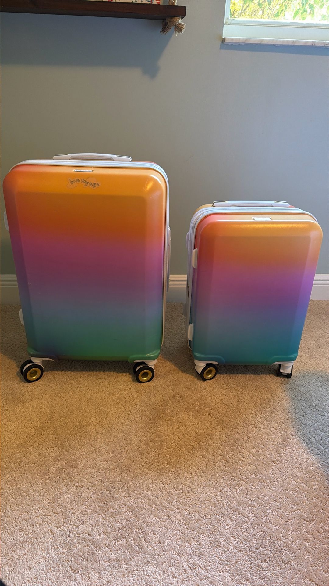 CALPAK Suitcases (2)