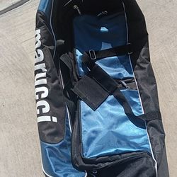 Baseball Bag