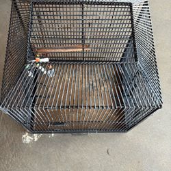 Bird Cage 