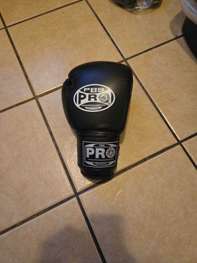 Boxing Gloves 14 Oz