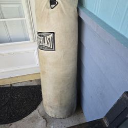 Everlast Heavy Boxing Bag