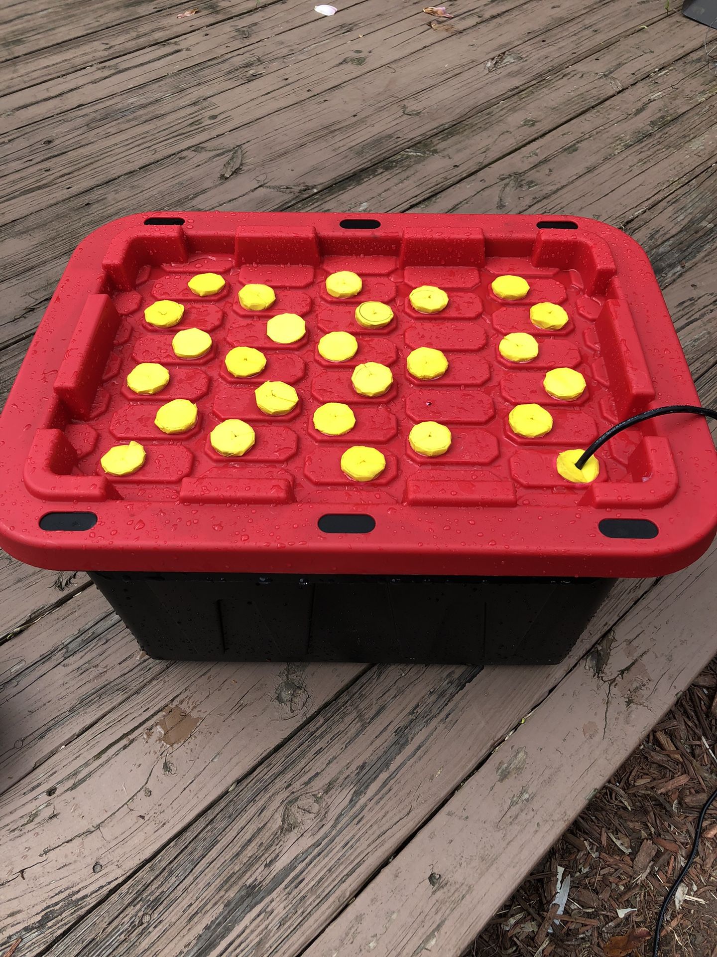 Aeroponic Cloner Hydroponic Propagation