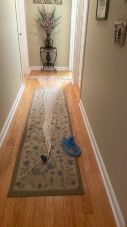 10 foot radius cast net