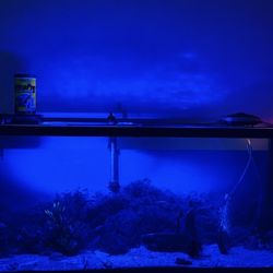 55 Gallon Fresh Water Bundle 