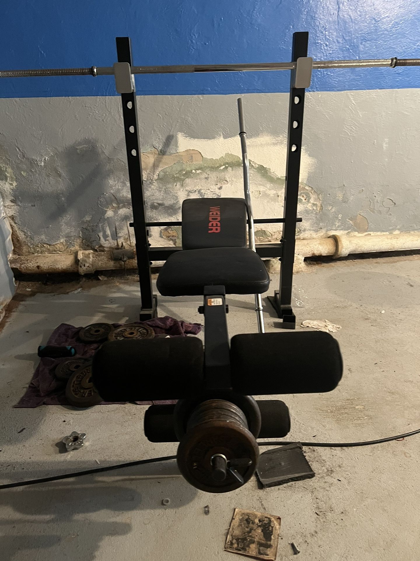 Bench And Curl Bar For Sale