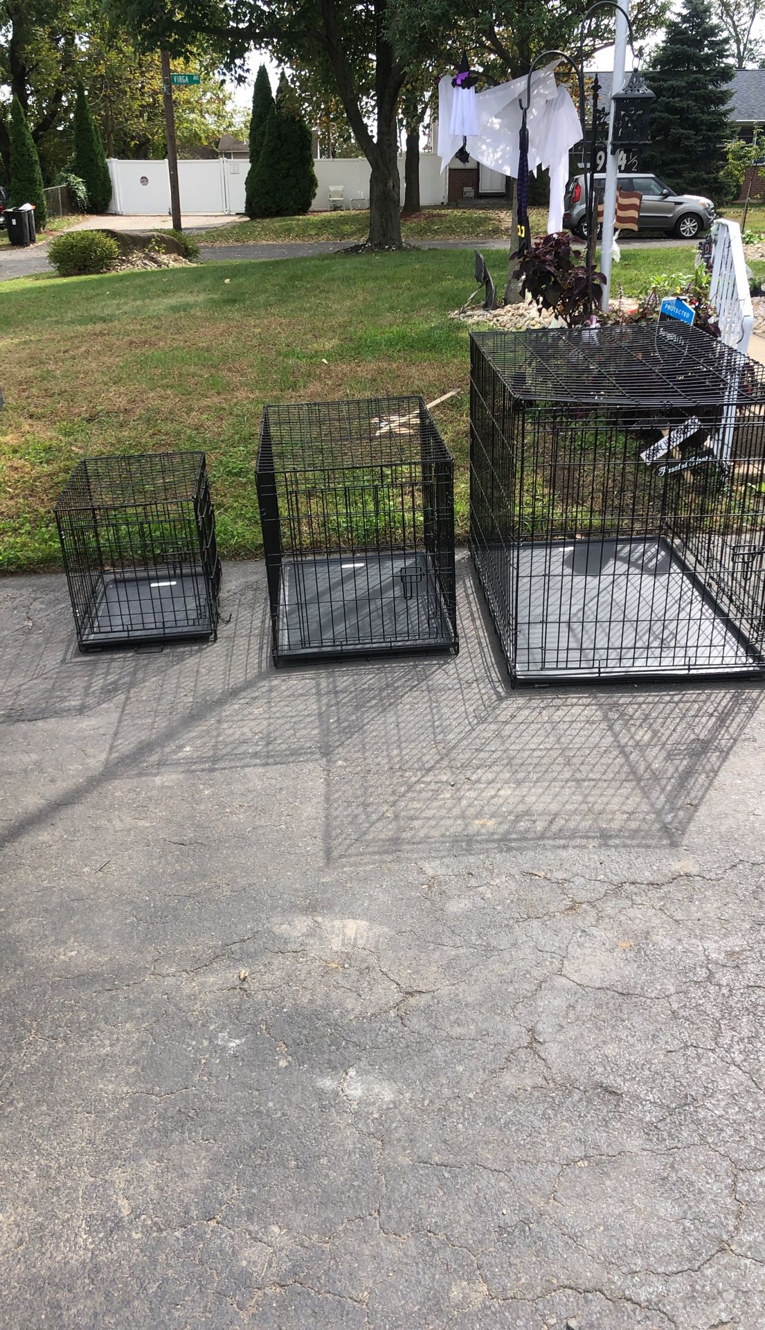 Brand new dog cages