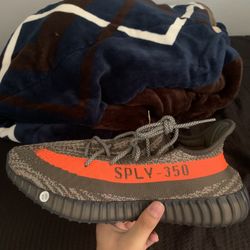 Yeezy 350 Carbon Beluga 