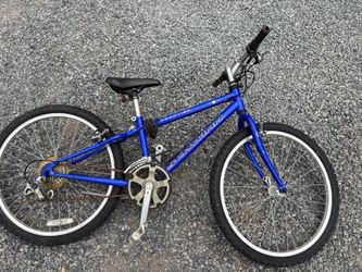 Schwinn Bike 24”