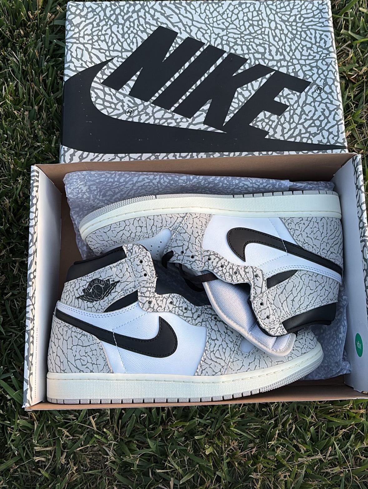 Jordan 1